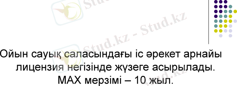 Slide 9