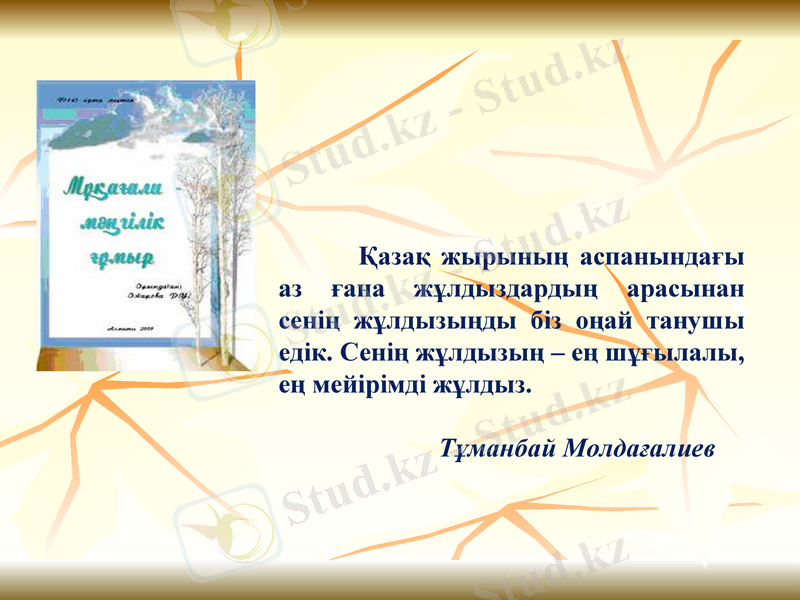 Slide 11