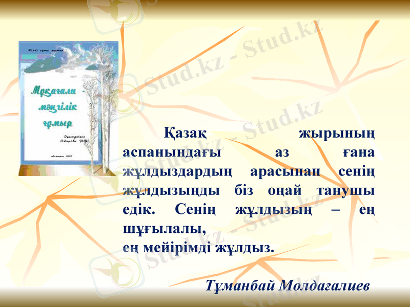 Slide 13