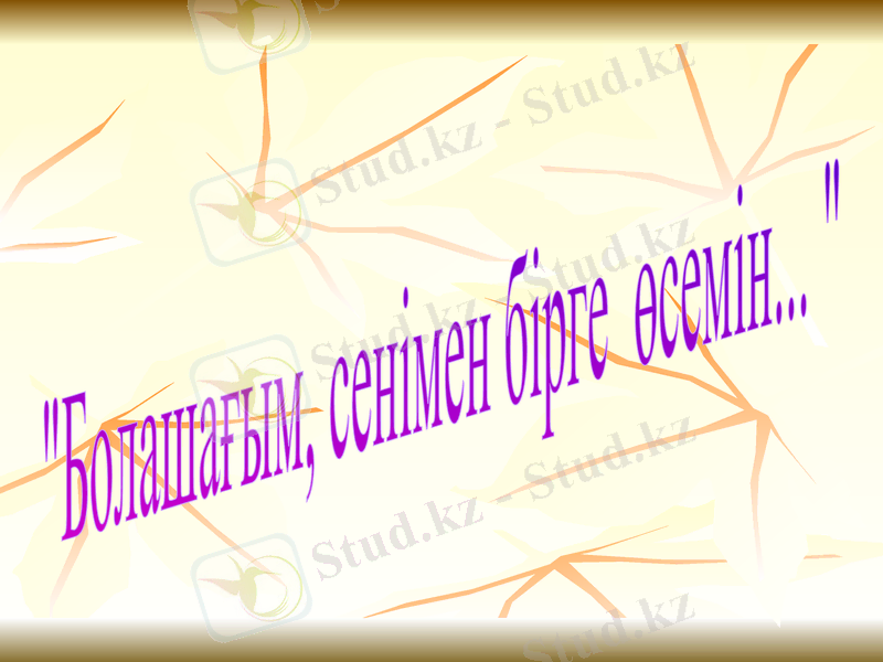 Slide 20