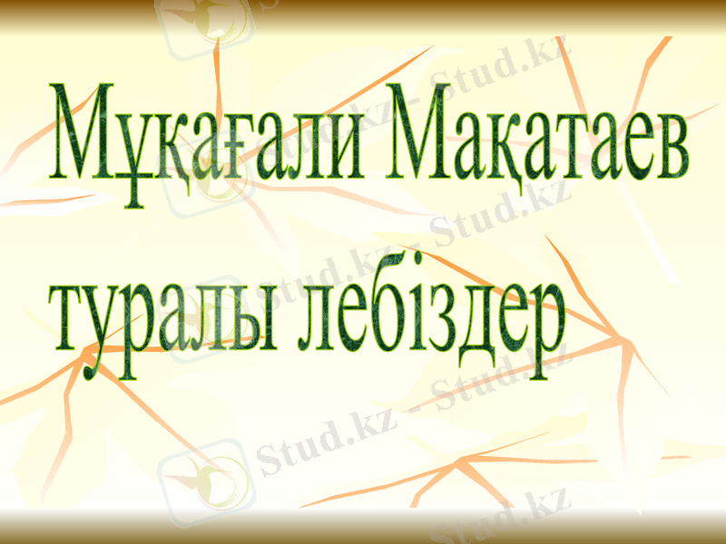 Slide 5