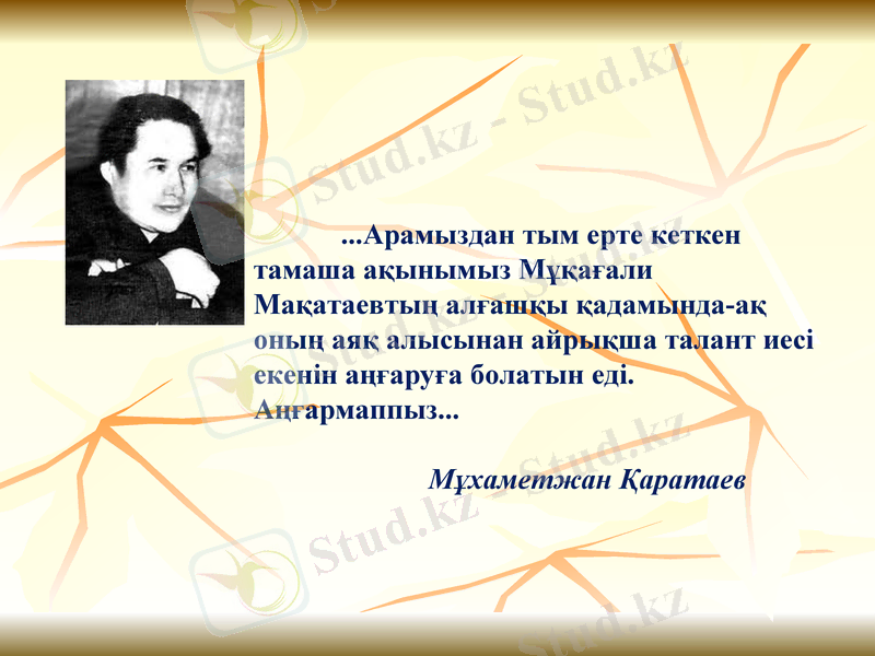 Slide 7
