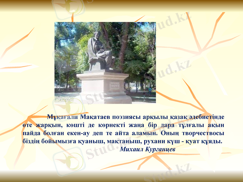 Slide 8