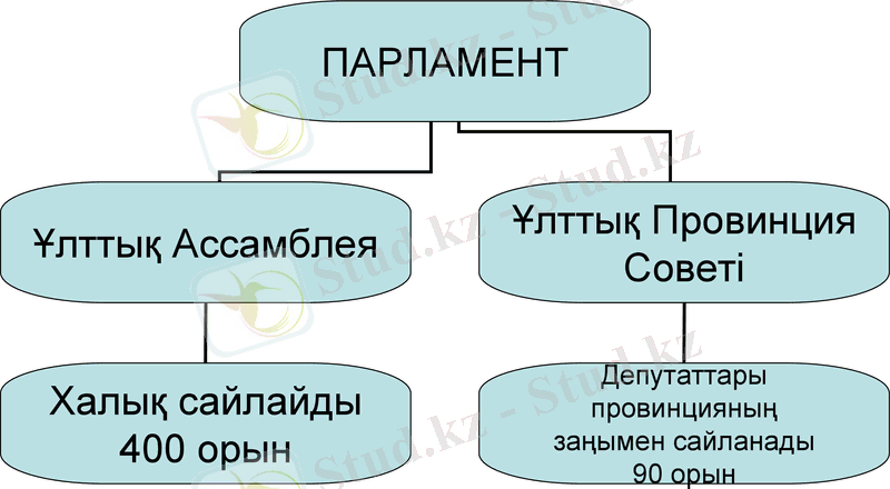 Slide 7