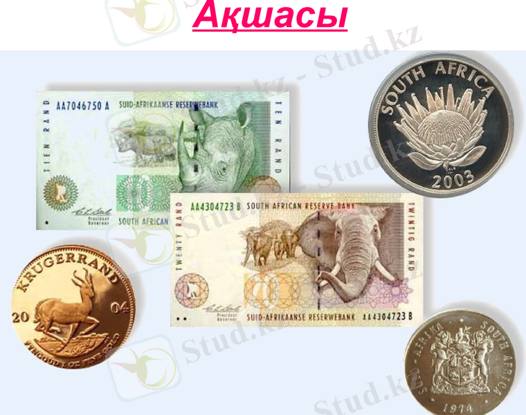 Slide 9