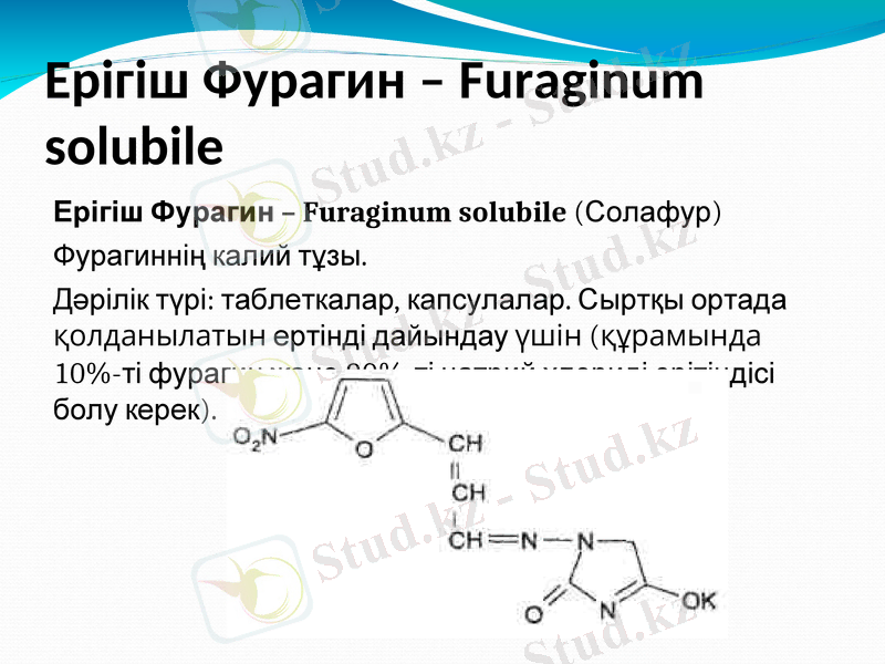 Slide 10