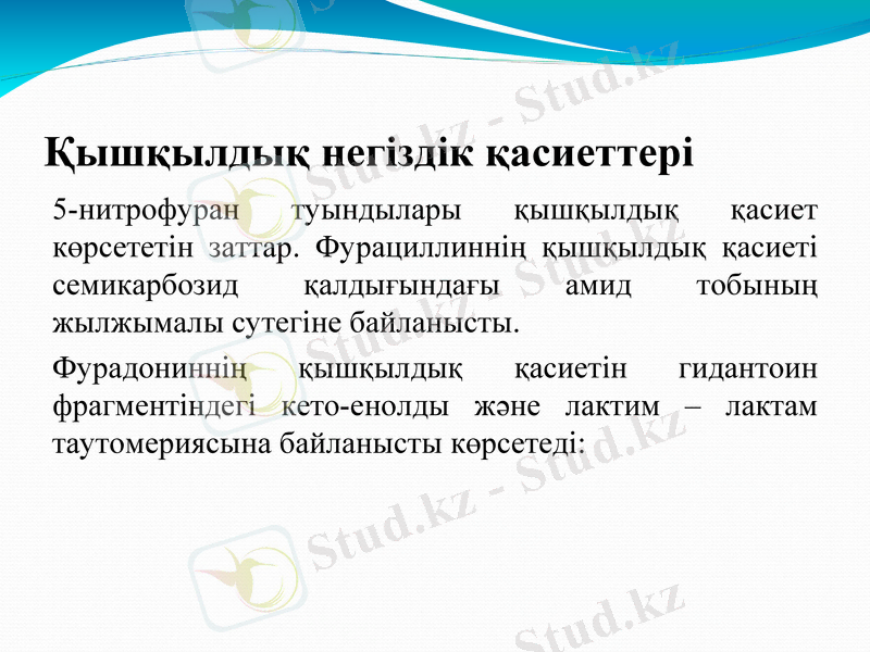 Slide 11
