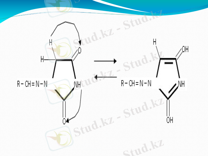 Slide 12