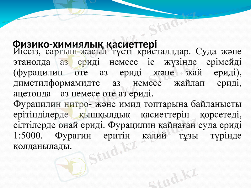 Slide 13