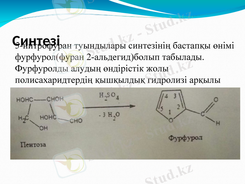 Slide 14