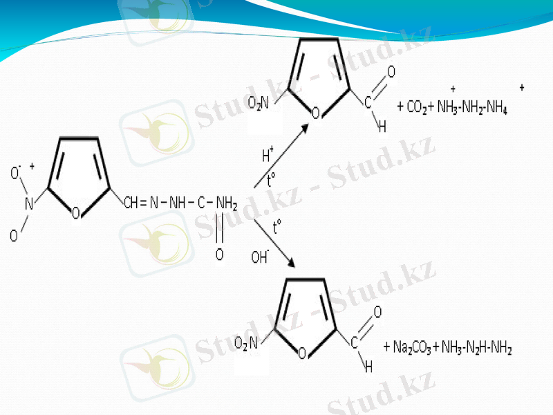 Slide 23