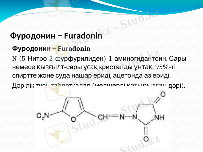 Slide 7
