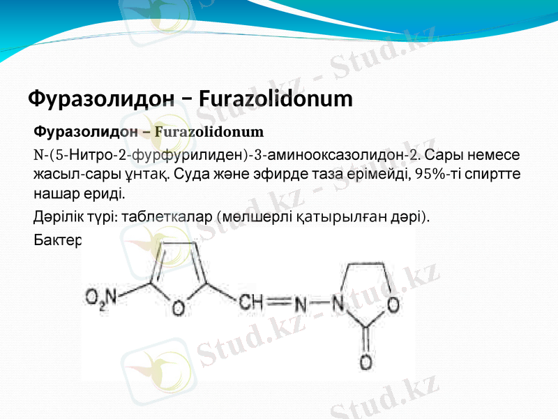 Slide 8