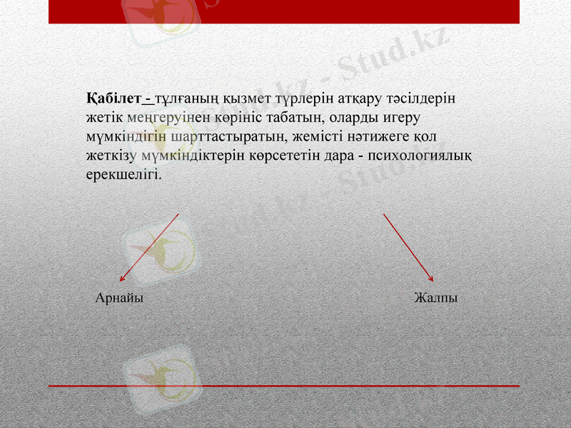 Slide 6