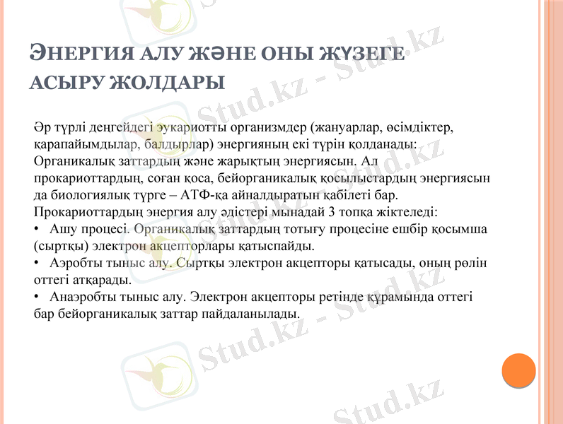 Slide 10