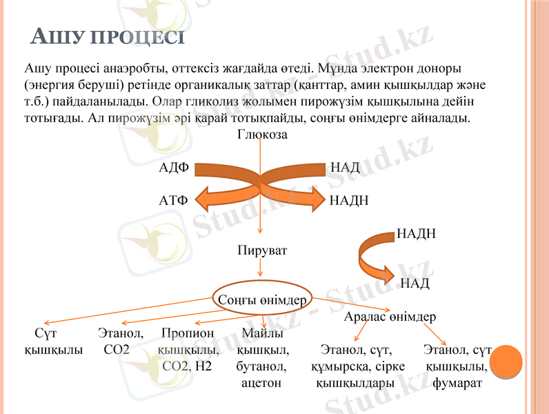 Slide 11