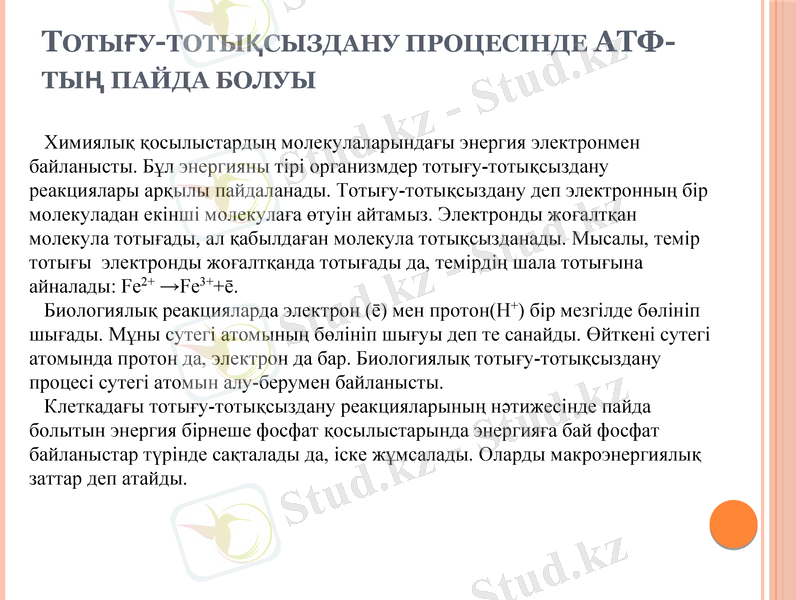 Slide 7