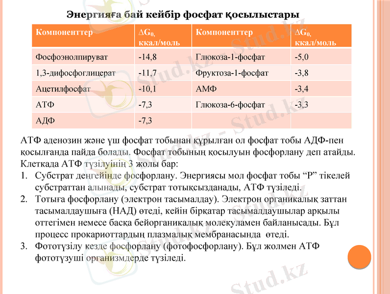 Slide 8