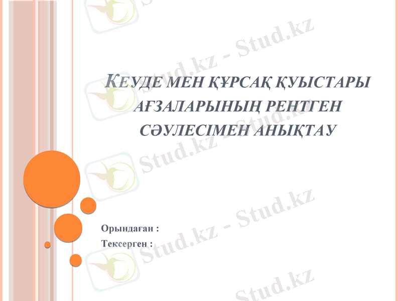 Slide 1