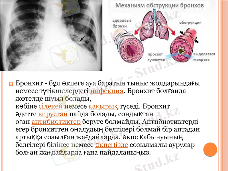 Slide 10