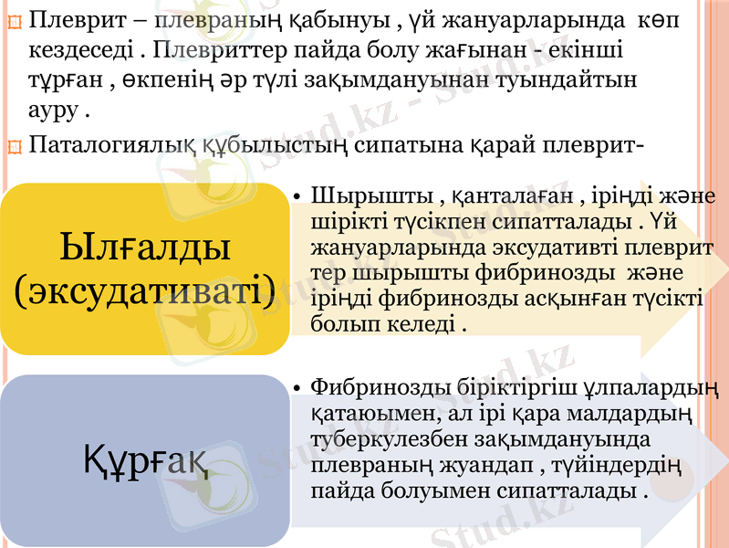 Slide 13