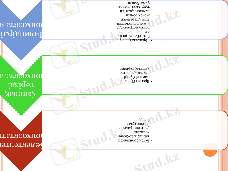 Slide 7