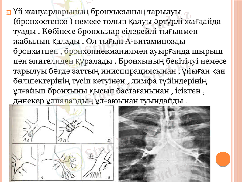 Slide 8