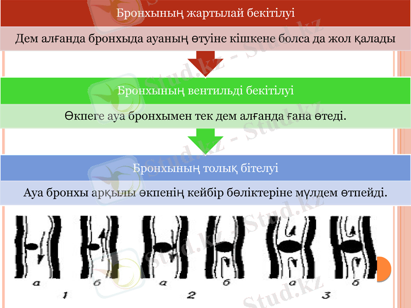 Slide 9