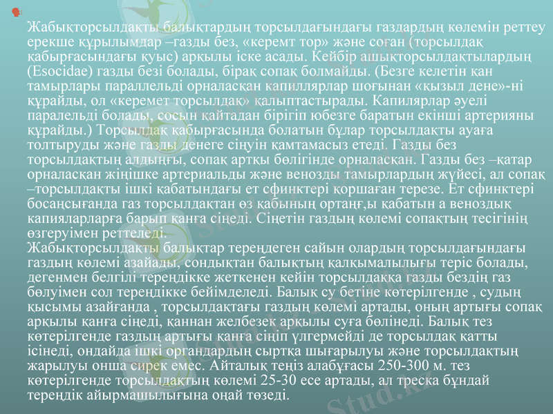 Slide 9