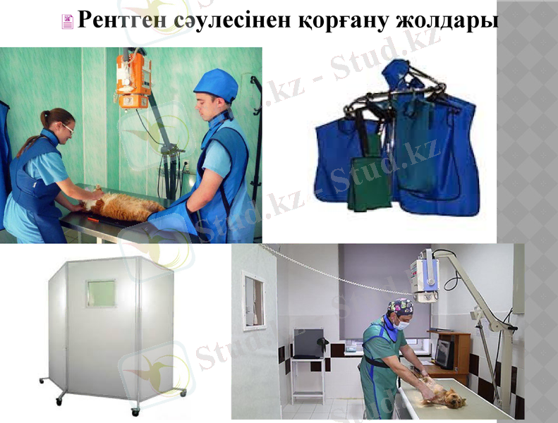 Slide 9