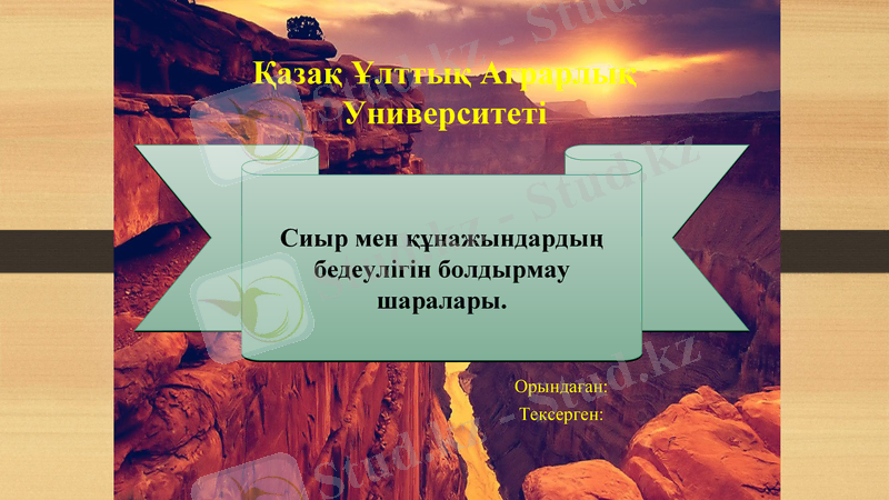 Slide 1