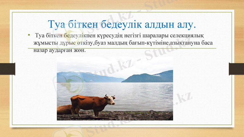 Slide 10