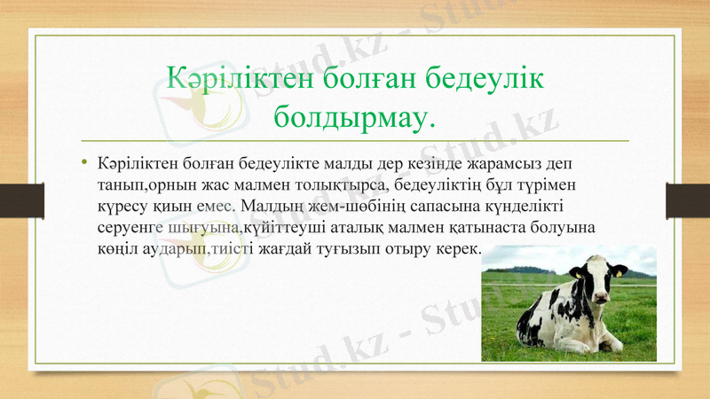 Slide 11