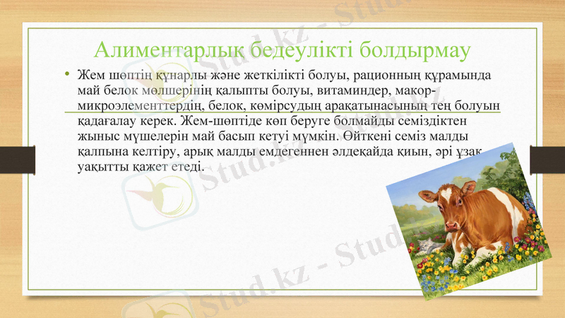 Slide 13