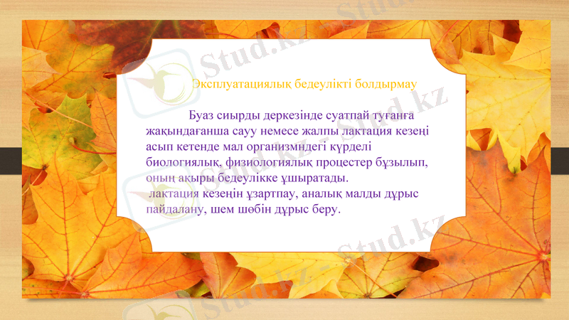 Slide 14