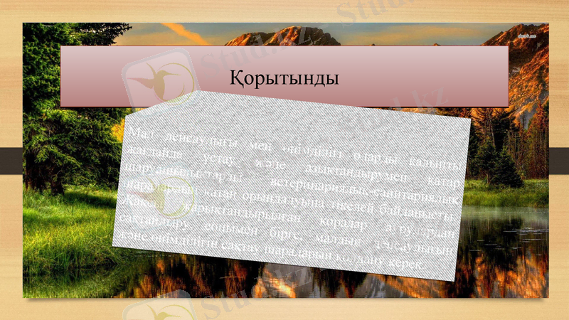 Slide 15
