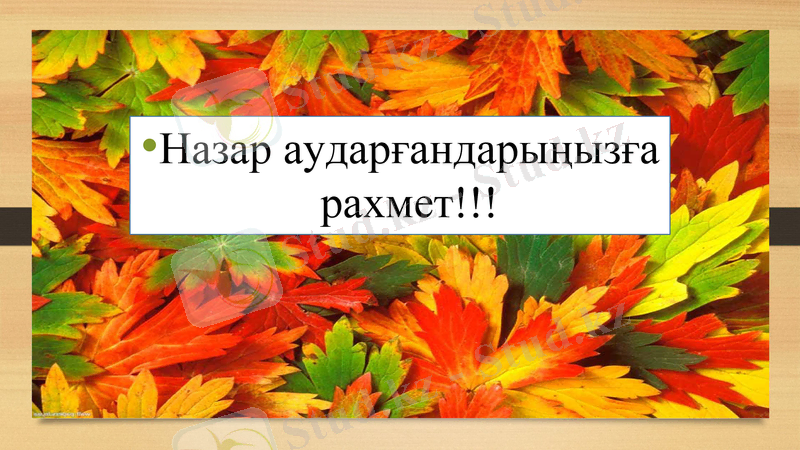 Slide 16