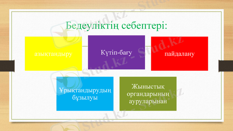 Slide 4