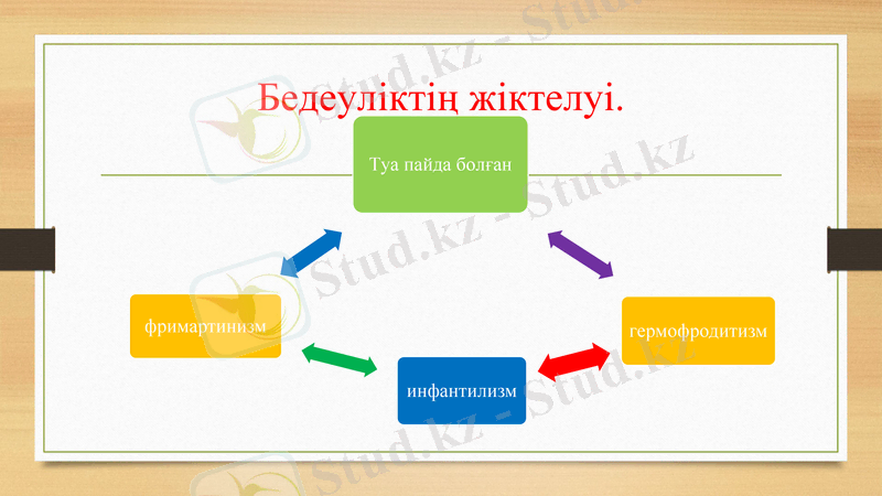 Slide 6