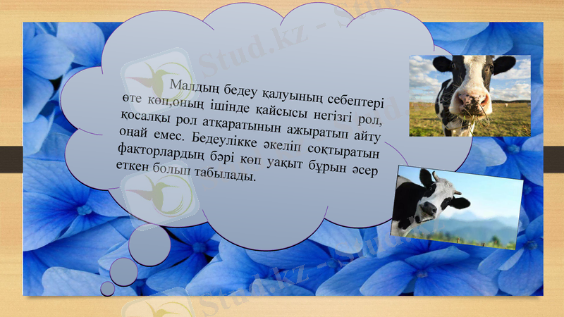 Slide 7