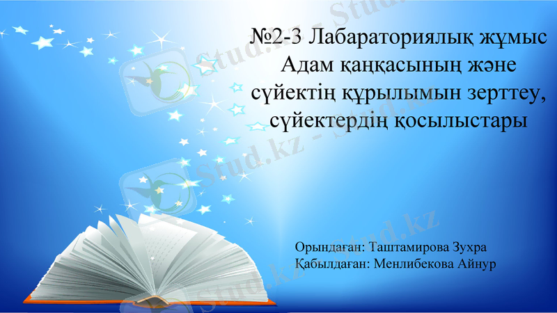 Slide 1