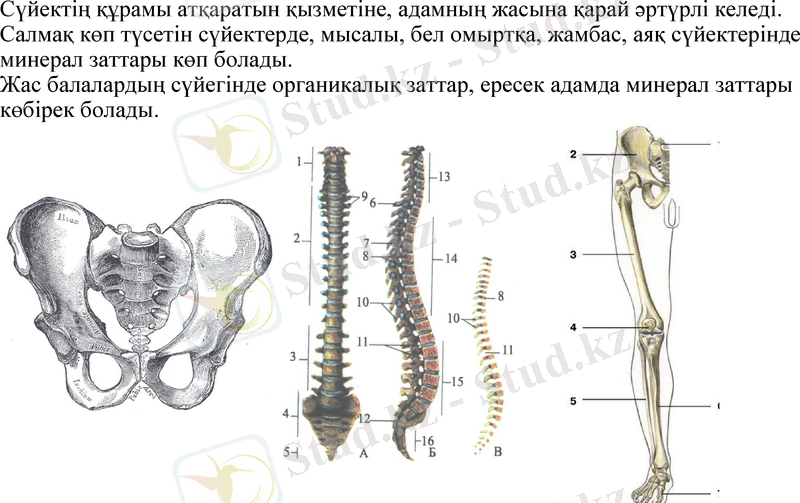 Slide 10