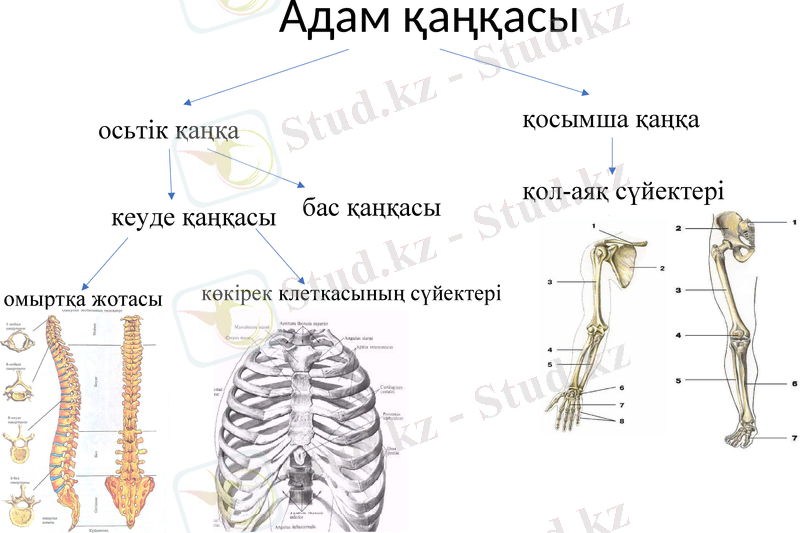 Slide 12