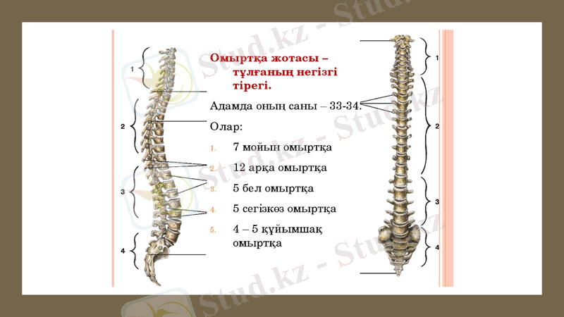 Slide 13