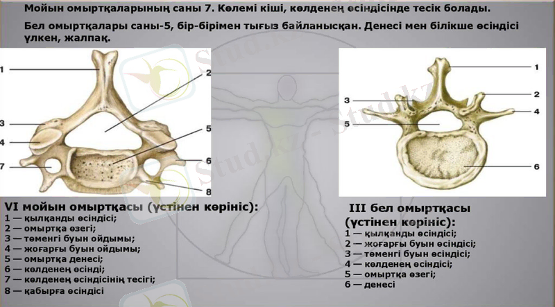 Slide 14