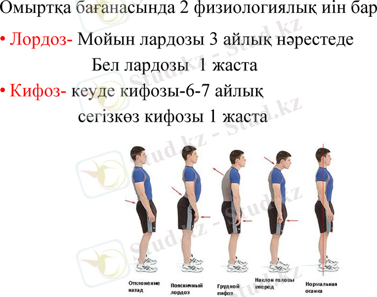 Slide 15
