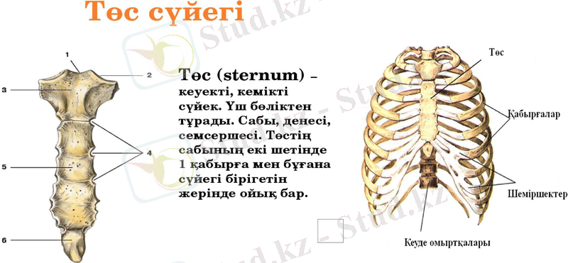 Slide 17
