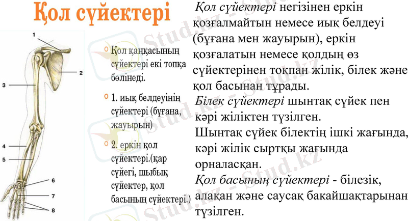 Slide 19