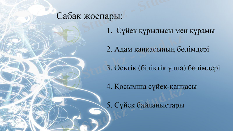 Slide 2