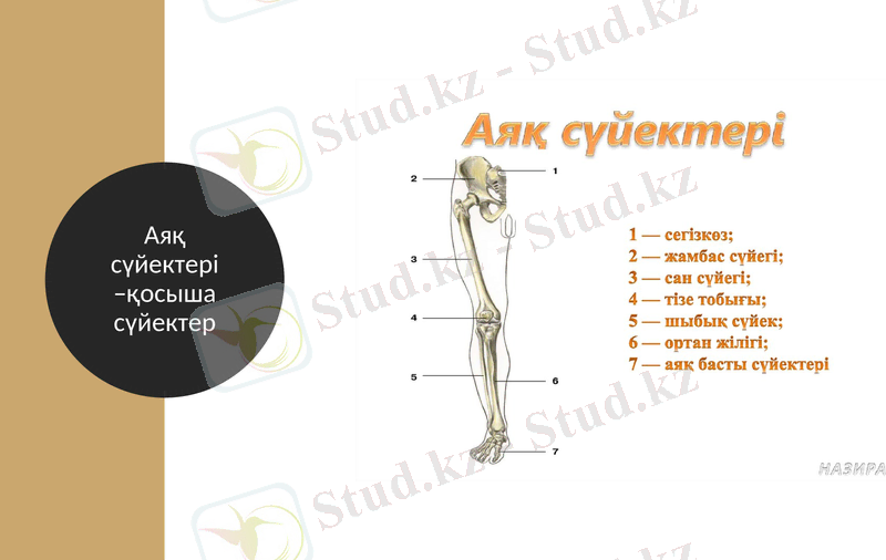 Slide 20